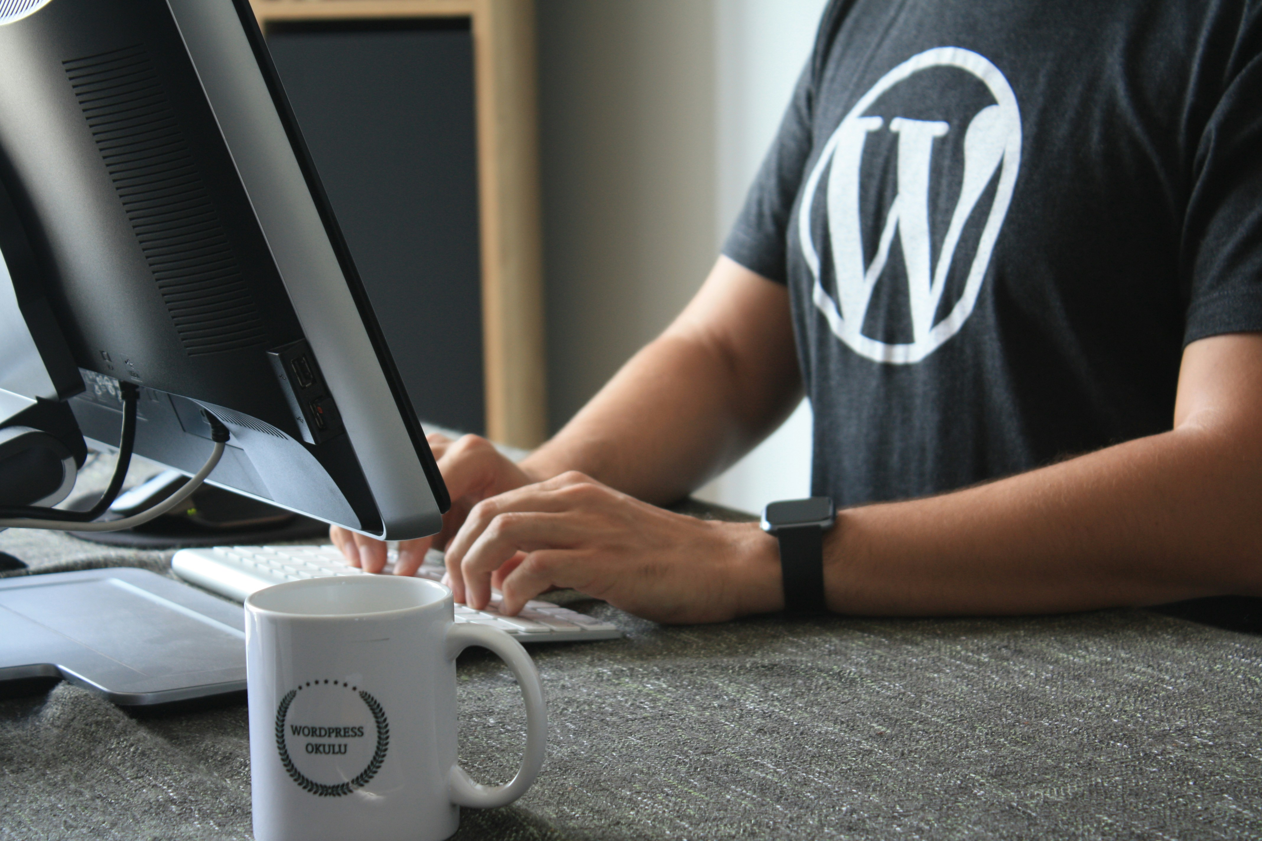 WordPress Solutions